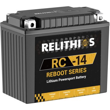 12V8Ah RT series starter battery