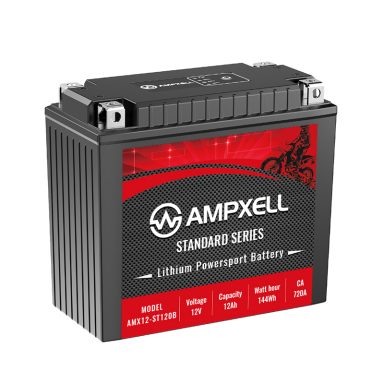 12V12Ah ST series starter battery
