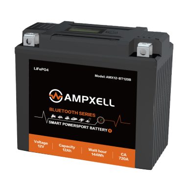 12V12Ah BT series starter battery