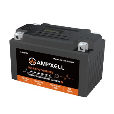 12V6Ah BT series starter battery