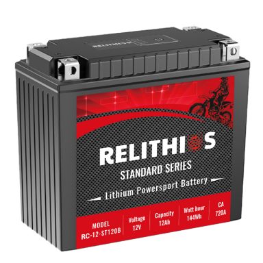 12V12Ah ST series starter battery
